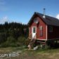 57963 Blueberry Glen Court, Homer, AK 99603 ID:8778656