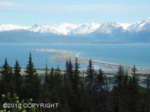 L36 Fireweed Avenue, Homer, AK 99603