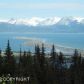 L36 Fireweed Avenue, Homer, AK 99603 ID:8868764