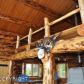 67844 Green Timbers Road, Homer, AK 99603 ID:8868896