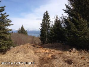 36486 WILD HAVEN Road, Homer, AK 99603