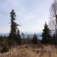 36486 WILD HAVEN Road, Homer, AK 99603 ID:9061865