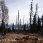 36486 WILD HAVEN Road, Homer, AK 99603 ID:9061866