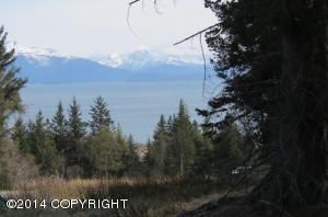 3771 W Hill Road, Homer, AK 99603