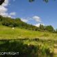 L12 Golden Plover Avenue, Homer, AK 99603 ID:8410472