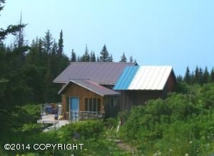 64895 Leandra Drive, Homer, AK 99603