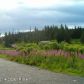 64895 Leandra Drive, Homer, AK 99603 ID:8410633