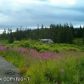 64895 Leandra Drive, Homer, AK 99603 ID:8410634