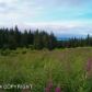 64895 Leandra Drive, Homer, AK 99603 ID:8410635