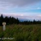 64895 Leandra Drive, Homer, AK 99603 ID:8410636