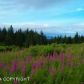 64895 Leandra Drive, Homer, AK 99603 ID:8410637