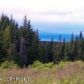 64895 Leandra Drive, Homer, AK 99603 ID:8410638