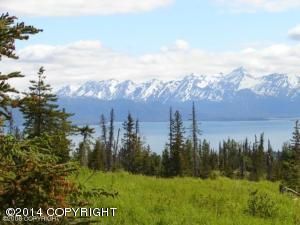 L1 Tracy Avenue, Homer, AK 99603