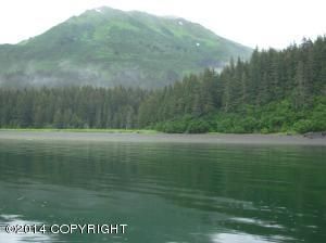 L12 Silent Shores, Homer, AK 99603