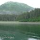 L12 Silent Shores, Homer, AK 99603 ID:8410763