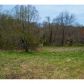 0 Riverview Drive, Blue Ridge, GA 30513 ID:9482999