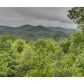 764 Brittney Drive, Blue Ridge, GA 30513 ID:8842522