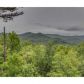 764 Brittney Drive, Blue Ridge, GA 30513 ID:8842524