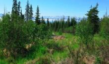 Tr 10 Wilderness Lane Homer, AK 99603