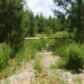 2 Soap Creek Road, Ball Ground, GA 30107 ID:9093627