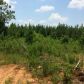 2 Soap Creek Road, Ball Ground, GA 30107 ID:9093631