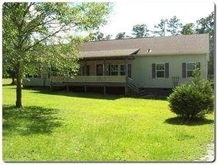 93 Winding Branch, Hampstead, NC 28443