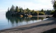 52965 SW Halibut Cove Homer, AK 99603