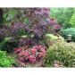 4810 Ridgewood Road, Monroe, GA 30656 ID:9521235