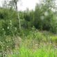 1800 N Lakeridge Circle, Wasilla, AK 99654 ID:9514809