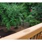 10030 Barston Court, Alpharetta, GA 30022 ID:9500188