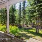 19240 Trail Bay Drive, Eagle River, AK 99577 ID:8836488