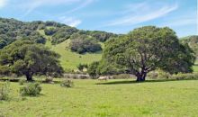 1002 Chileno Valley Road Petaluma, CA 94952