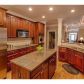 1715 Woodberry Run Drive, Snellville, GA 30078 ID:9554964