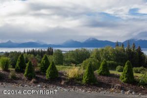 924 Quiet Creek Drive, Homer, AK 99603