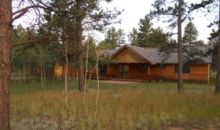 2364 Vigilante Ave Bailey, CO 80421