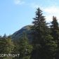 339 St Johann Loop, Girdwood, AK 99587 ID:9584925