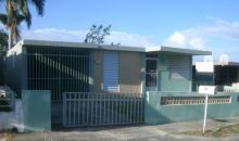 208 10th St Sabana Grande, PR 00637