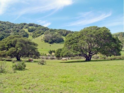 1002 Chileno Valley Road, Petaluma, CA 94952