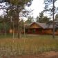 2364 Vigilante Ave, Bailey, CO 80421 ID:9610552