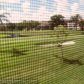 2638 NW 104th Ave # 207, Fort Lauderdale, FL 33322 ID:9441831