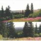 000 Shelton Drive, Homer, AK 99603 ID:9457800