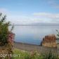 52965 SW Halibut Cove, Homer, AK 99603 ID:9457898