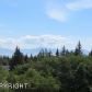 1534 Hillside Place, Homer, AK 99603 ID:9457744