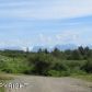 1534 Hillside Place, Homer, AK 99603 ID:9457746