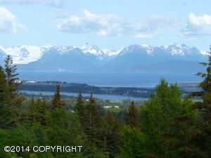 Tr D2-E Reber Road, Homer, AK 99603