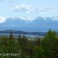 Tr D2-E Reber Road, Homer, AK 99603 ID:9457548