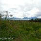 L2 Colleens Court, Homer, AK 99603 ID:9457346