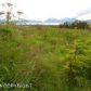 L2 Colleens Court, Homer, AK 99603 ID:9457348