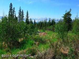 Tr 10 Wilderness Lane, Homer, AK 99603