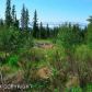 Tr 10 Wilderness Lane, Homer, AK 99603 ID:9457005